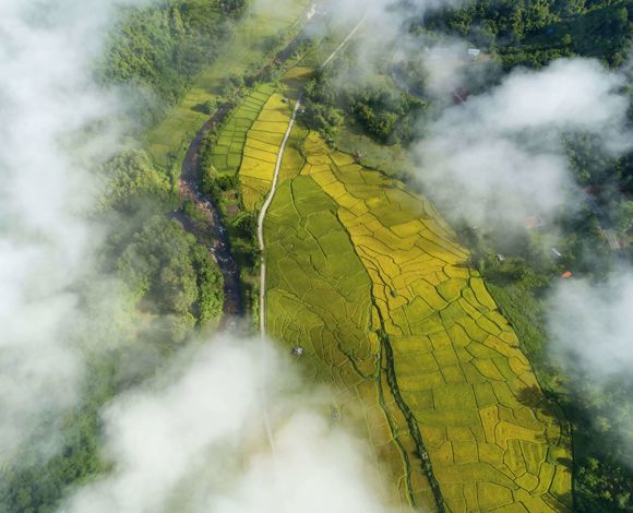 Our environmental stewardship and aviation's journey to net zero