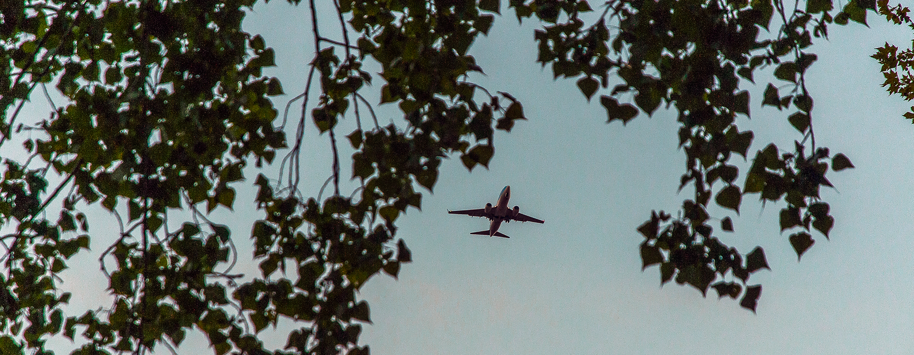 Why Sustainable Aviation Fuel certificates (SAFc) matter for corporate climate action