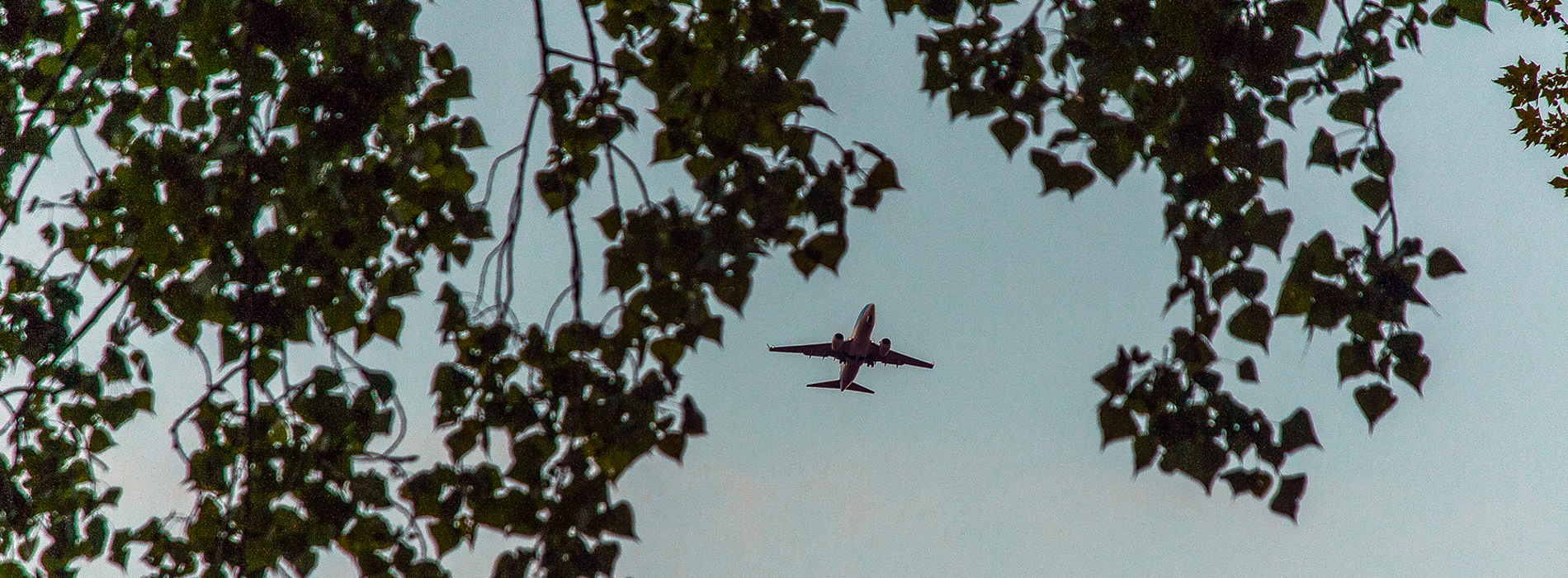 How airlines and corporates can accelerate SAF adoption 