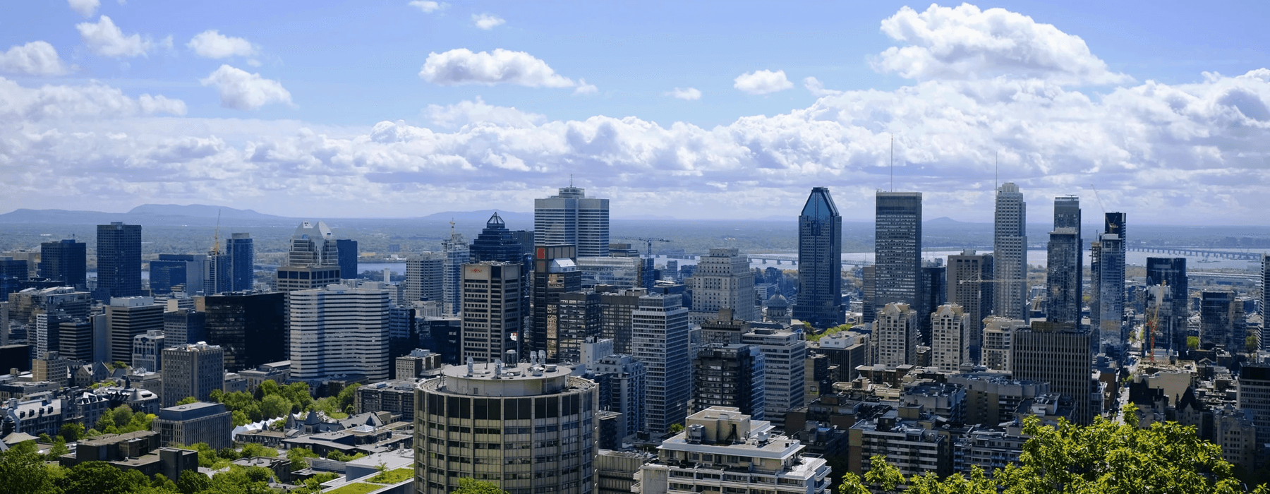 Airport Steering Committee 2026