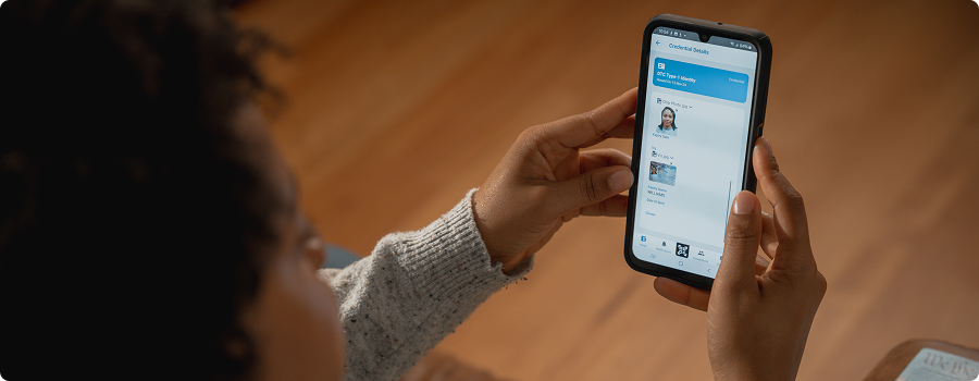 See how governments streamline borders