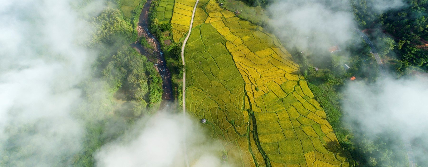 Your Airline's Emissions Cost & Compliance Strategy Starts Here