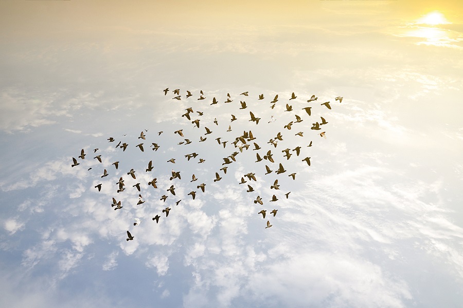 Are sustainability and growth compatible in air travel today?