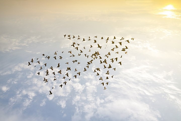 Are sustainability and growth compatible in air travel today?