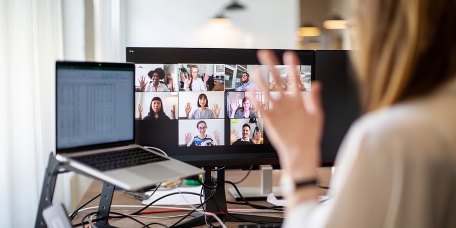 Professionals video conferencing