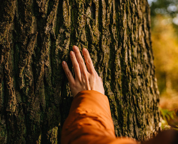 SITA’s Sustainability Strategy