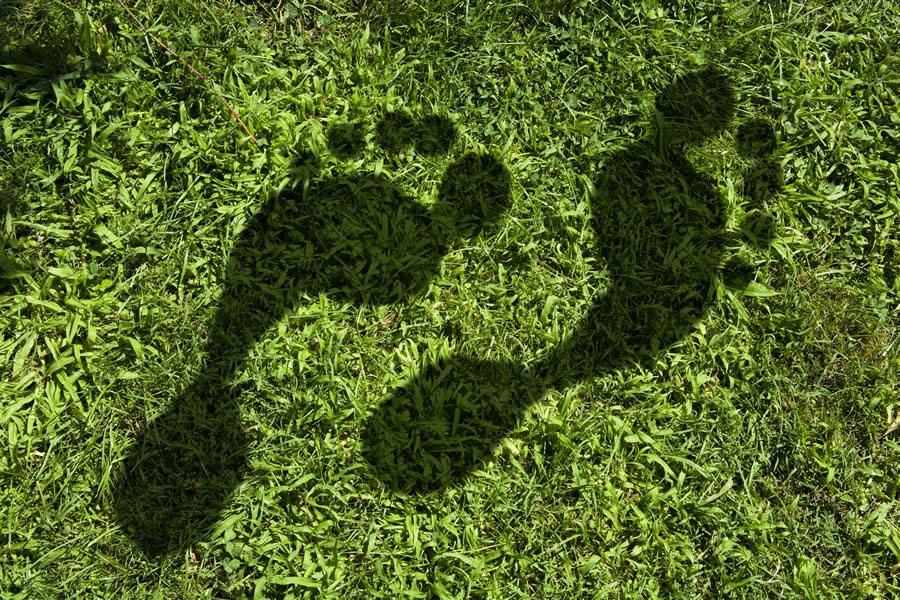 SITA takes decisive steps to reduce carbon emissions to become a certified CarbonNeutral® company