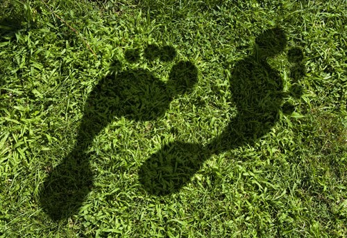 SITA takes decisive steps to reduce carbon emissions to become a certified CarbonNeutral® company