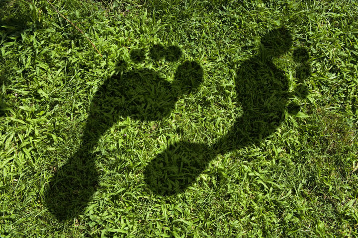 SITA takes decisive steps to reduce carbon emissions to become a certified CarbonNeutral� company