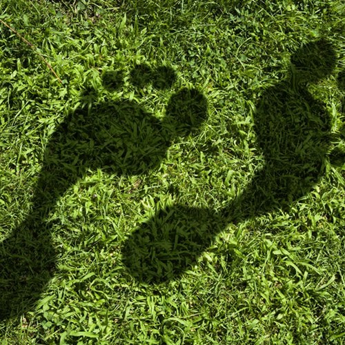 SITA takes decisive steps to reduce carbon emissions to become a certified CarbonNeutral® company