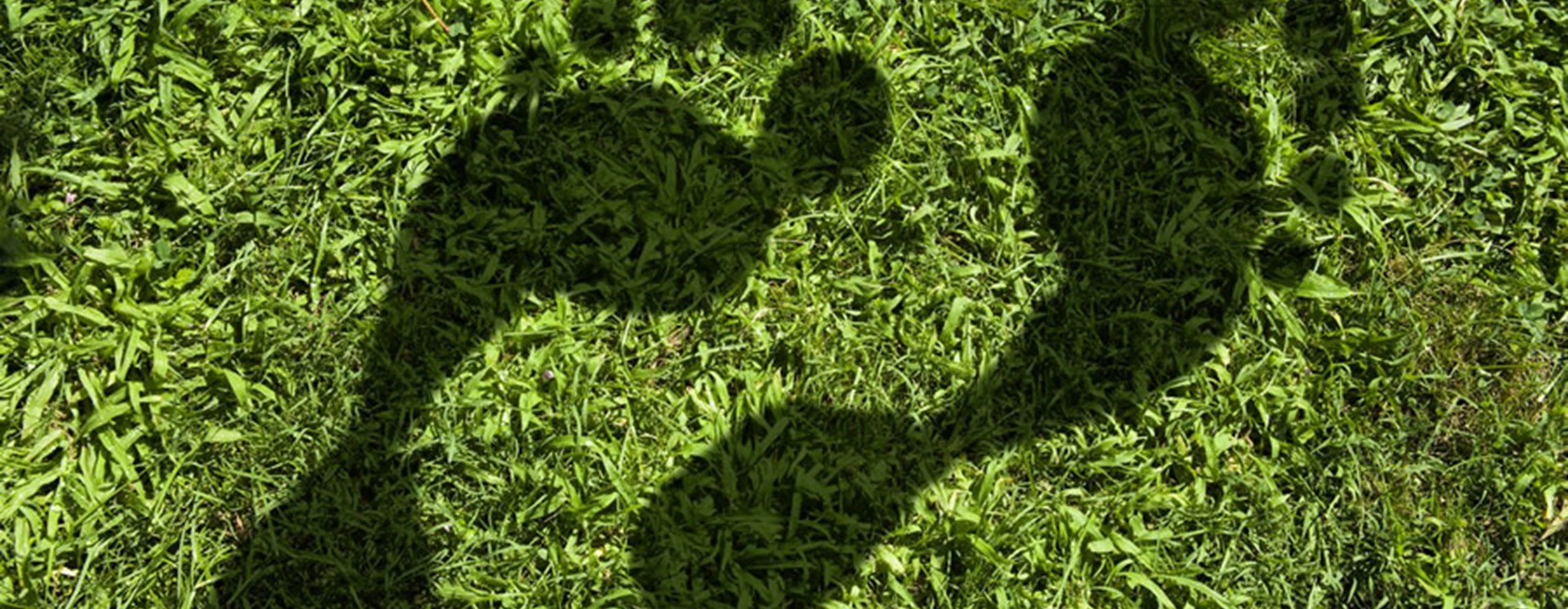 SITA takes decisive steps to reduce carbon emissions to become a certified CarbonNeutral® company