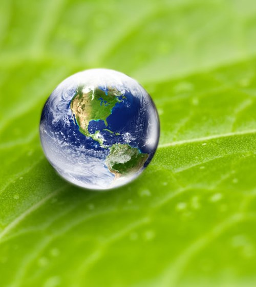 Environmental action