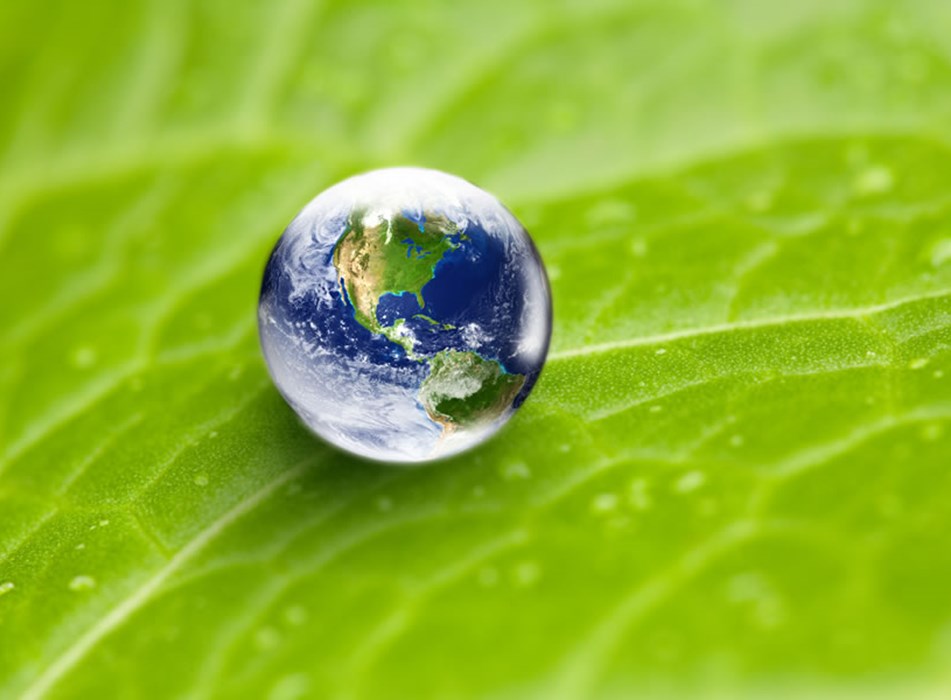 Environmental action Environmental action