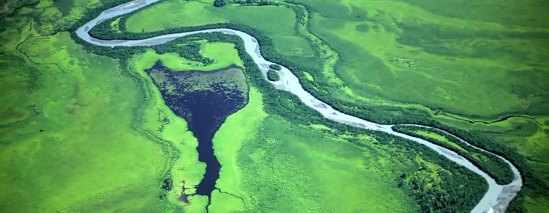 SITA committed to a sustainable future with ISO14001:2015 re-certification across six offices