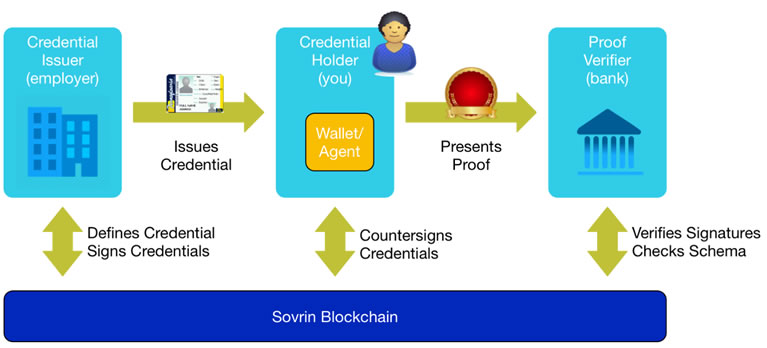 Sovrin blockchain