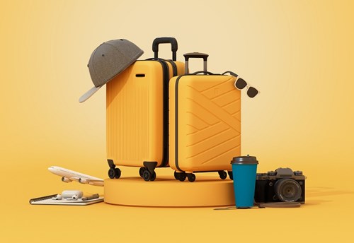 Baggage IT Insights 2023