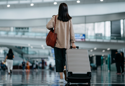 2024 SITA Baggage IT Insights