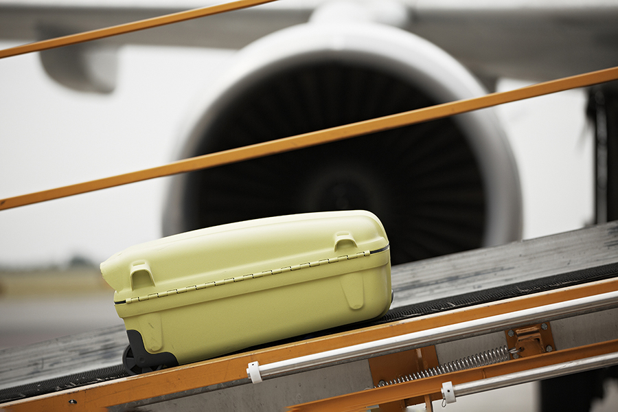 Baggage Management