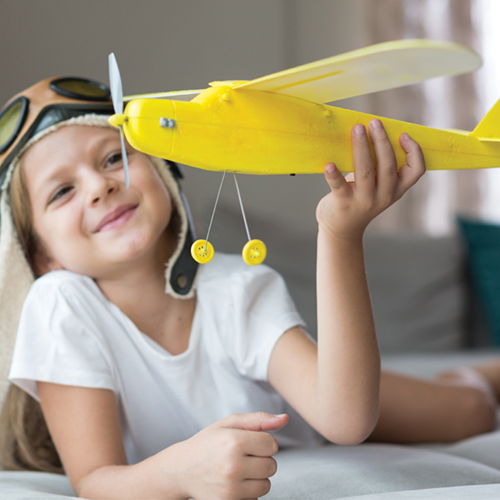 Air Transport IT Insights 2019