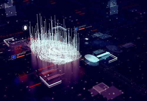 SITA Intelligence and Targeting Positioning Paper