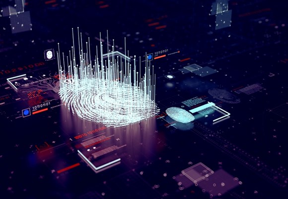 SITA Intelligence and Targeting Positioning Paper
