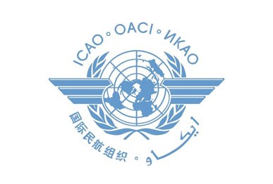 Electronic Pilot Licenses