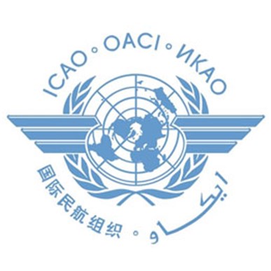 Electronic Pilot Licenses