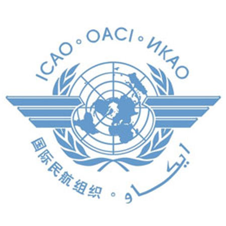 Electronic Pilot Licenses