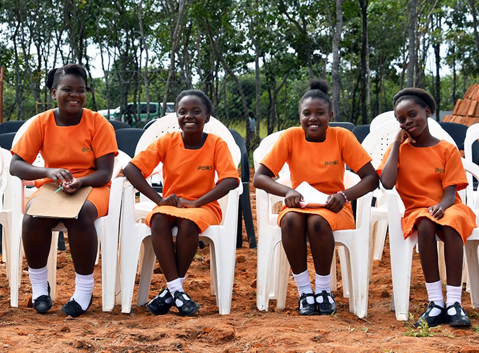 PEAS (Promoting Equality in African Schools)