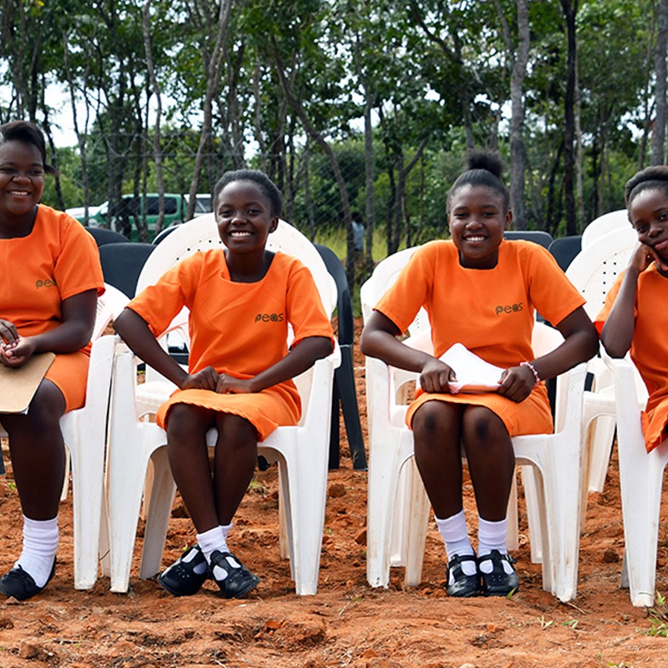 PEAS (Promoting Equality in African Schools)