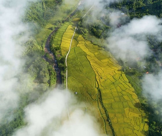 Our environmental stewardship and aviation's journey to net zero