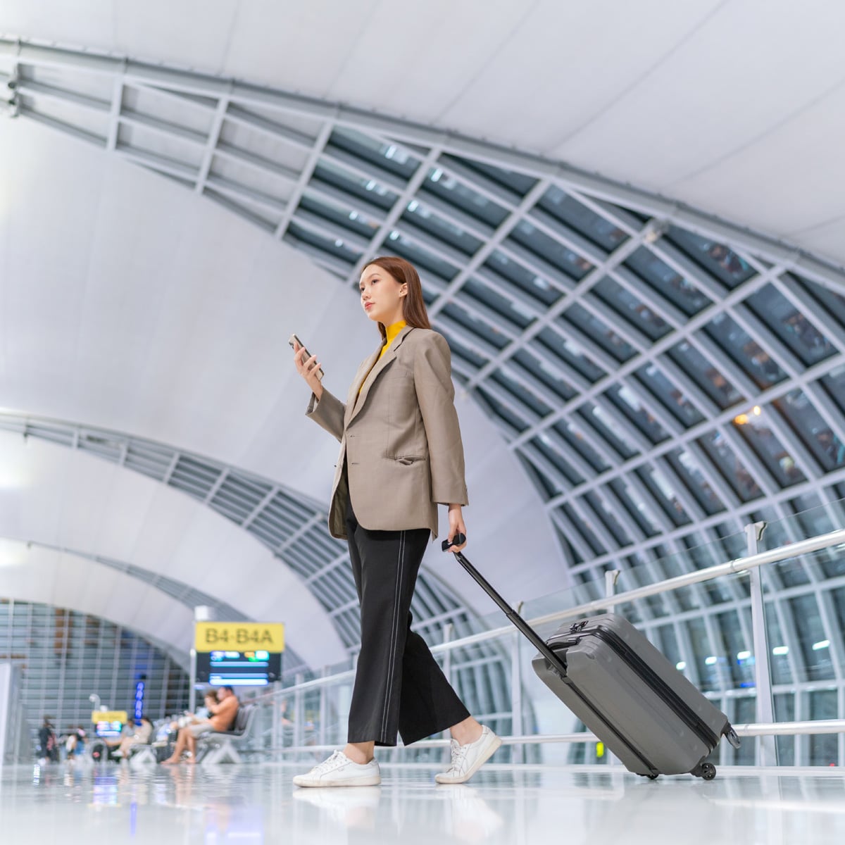 SITA Advance Passenger Processing (APP)